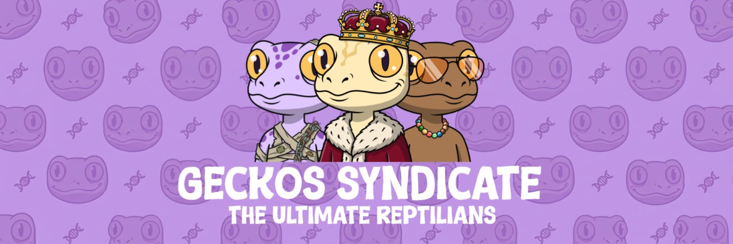 Geckos Syndicate GTD